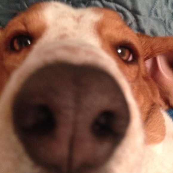 Meet your Posher, Kelly - Picture 1 of 1